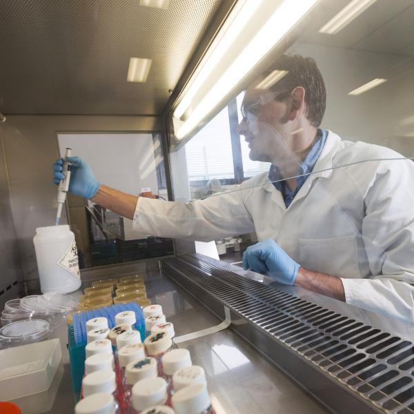 Image of man working in a laboratory 
